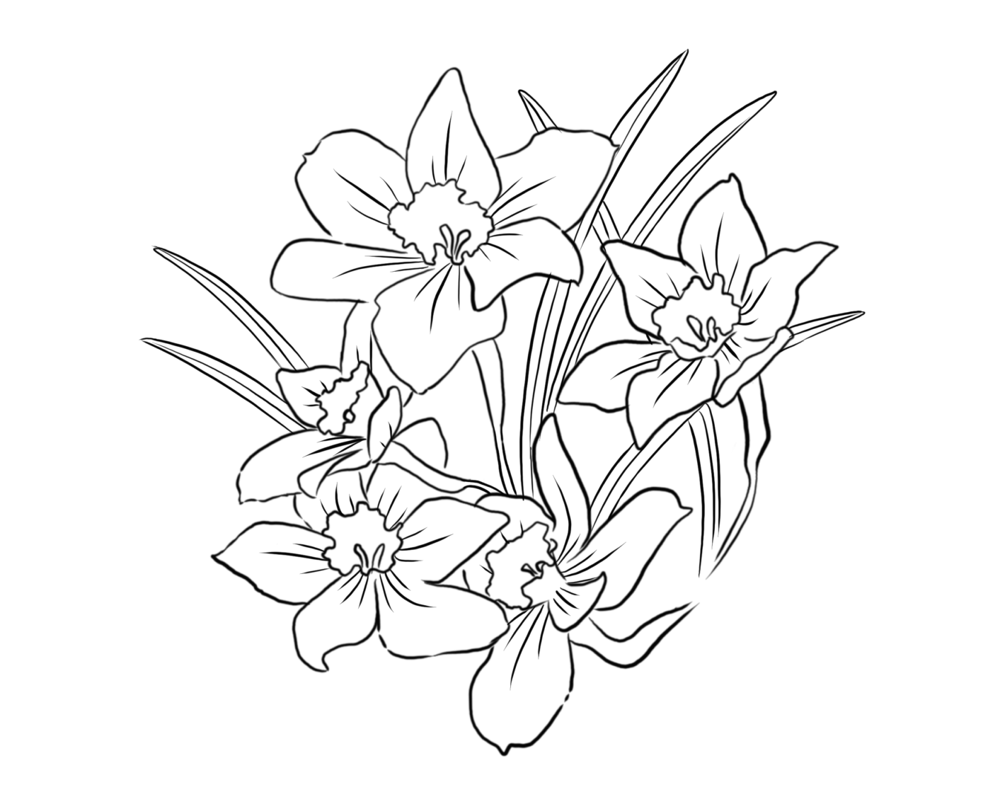 Daffodil Illustration.png