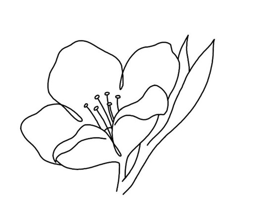 花見 (Hanami) 花見 (Hanami)