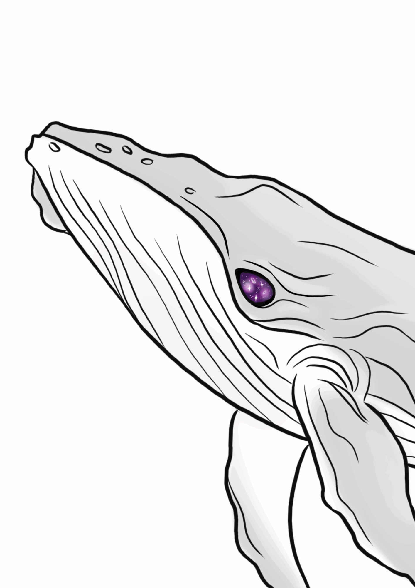 Wale Illustration.pdf
