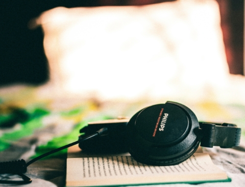 Our 6 Favourite Audiobooks: The Writers Herd Team Recommends